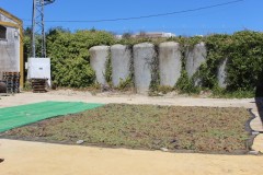 Colocacion-de-uva-para-el-asoleo-en-Cooperativa-Albarizas-