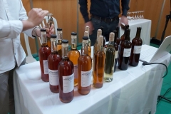 Presentación ExpoSierra